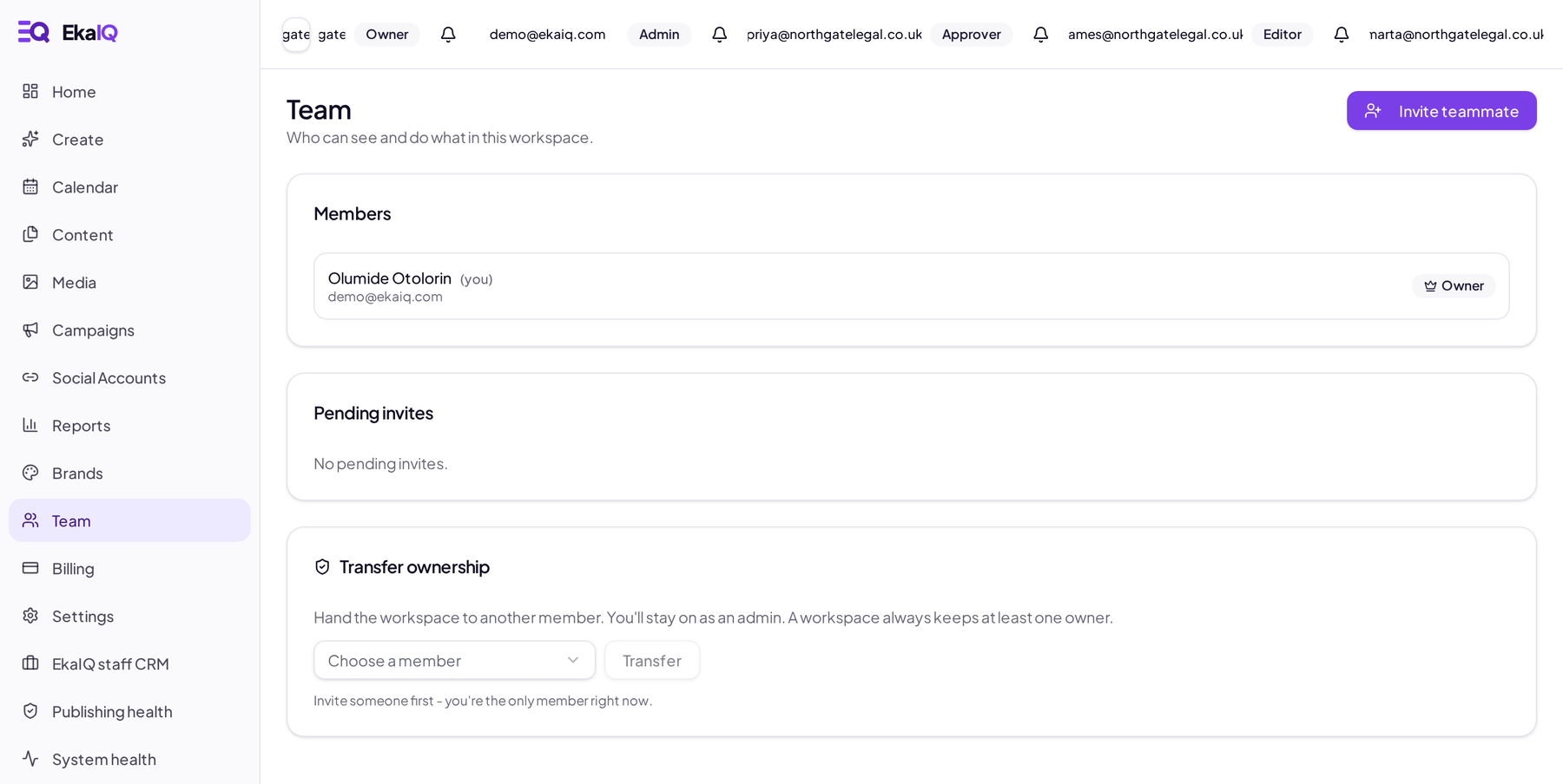 EkaIQ team settings showing members with owner, admin, approver and editor roles.